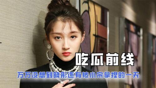 娱乐圈小说吃瓜